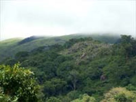 சத்தியமங்கலம் காட்டுக்குள் நக்சல்கள் ஊடுறுவலாம்-உளவுத்துறை எச்சரிக்கை