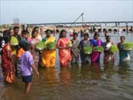 ஆடிப் பெருக்கு: காவிரிக் கரையோரம் கரைபுரண்டோடிய உற்சாகக் கொண்டாட்டம்