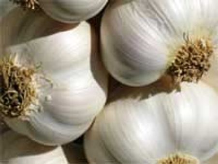 கிடுகிடுவென உயர்ந்த பூண்டு விலை: கிலோ ரூ.150 முதல் 220 வரை விற்கிறது