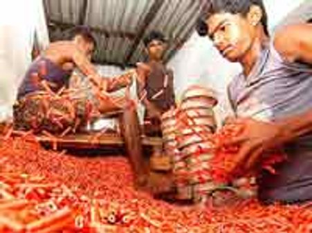 வட மாநிலங்களில் கனமழை-ரூ.1000 கோடி பட்டாசுகள் சிவகாசியில் தேக்கம்