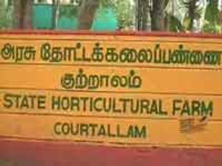 குற்றாலம் ஐந்தருவி பழத் தோட்டம் ரூ. 5.75 கோடியில் பூங்காவாகிறது