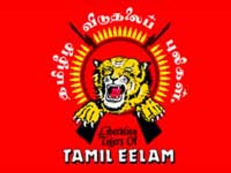 அமைதியாக இருப்பது ஏன்? - மாவீரர் நாள் செய்தியில் விடுதலைப் புலிகள் விளக்கம்