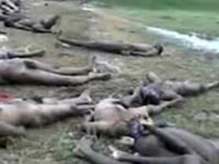 தமிழ்ப் பெண்களை கொடூரமாக வேட்டையாடிக் கொன்ற இலங்கை ராணுவம்!- சேனல் 4 வெளியிட்ட புதிய வீடியோ