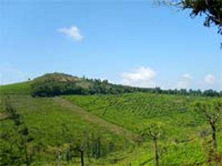 ஜெ. ஓய்வெடுக்கும் கோடநாடு எஸ்டேட் பாதையை மக்கள் பயன்படுத்தலாம்-சுப்ரீம் கோர்ட்