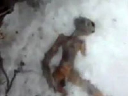 சைபீரிய பனிப் பகுதியில் வேற்று கிரகவாசியின் உடல்?