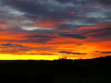 அதிகாலை துயில் எழுவதனால் ஏற்படும் நன்மை