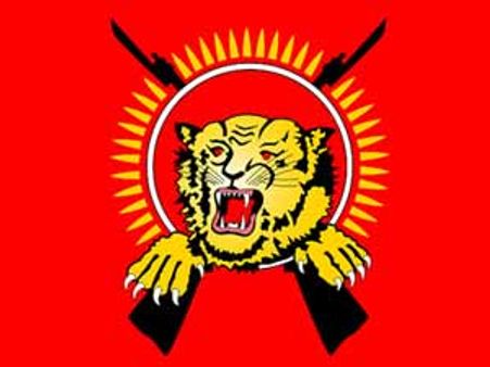 குற்றச்சாட்டுகளை தெளிவுபடுத்த வாய்ப்பளியுங்கள்! - ஐநாவிடம் விடுதலைப் புலிகள் கோரிக்கை