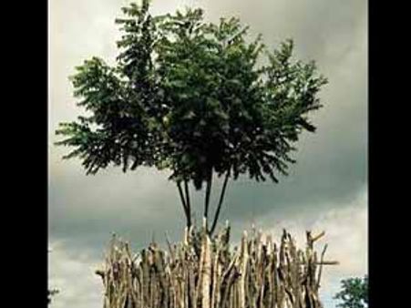 மறந்து போன சகோதரி!