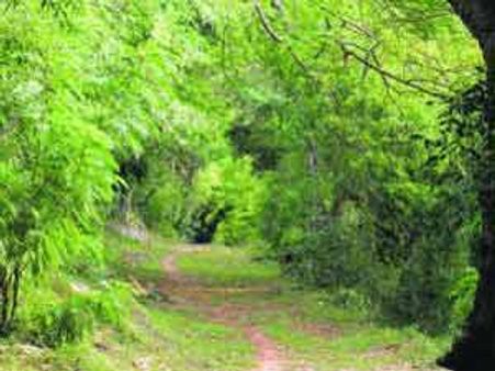 அழகர் மலையும் அந்திப்பொழுதும்….!