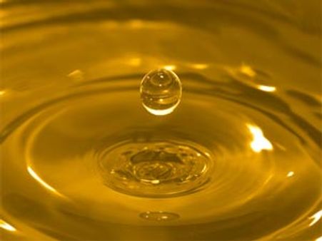 ரூ 10 கூலி உயர்வு கேட்டு போராட்டத்தில் தொழிலாளர்கள்-பிடிவாதம் பிடிக்கும் முதலாளிகள்