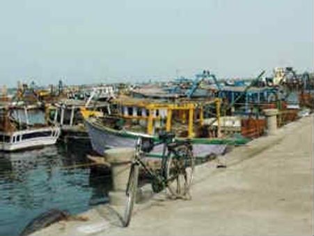 ராமேஸ்வரம் மீனவர்கள் காலவரையற்ற ஸ்டிரைக்-மீன்பிடிப்பு ஸ்தம்பிப்பு