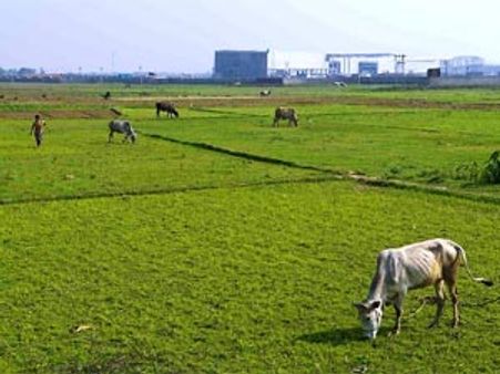 சிங்கூர் நில விவகாரம்: உச்சநீதிமன்றத்தில் டாடா அப்பீல்