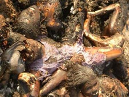 இலங்கையின் கொலைக்கள கோரக் காட்சிகள் குறித்து இதுவரை அசைந்து கொடுக்காத மத்திய அரசு