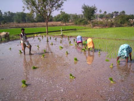 இந்தியா இன்னும் கிராமங்களில்தான் வாழ்கிறது!