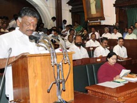 இலவச ஆடுகள் திட்டத்துக்கு ரூ. 135, மாடுகள் திட்டத்துக்கு ரூ. 56 கோடி ஒதுக்கீடு