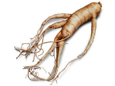 ஆண்மையை அதிகரிக்கும் ஜின்செங்!