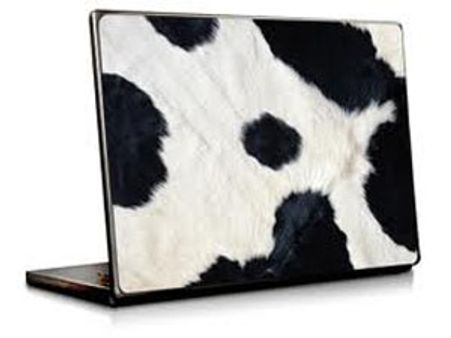 இலவச லேப்டாப், ஆடு-மாடு, மிக்ஸி-கிரைண்டர் திட்டம்: எம்ஜிஆர் பாட்டு பாடி தொடங்கி வைத்த ஜெ!