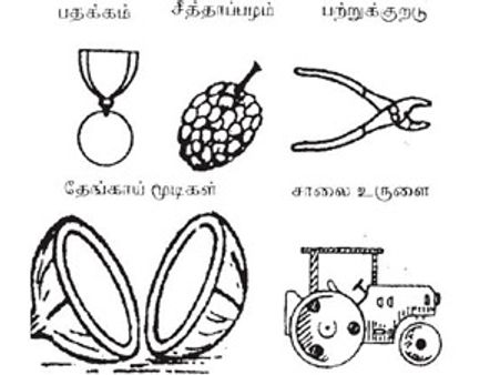 சீத்தாப் பழச் சின்னத்தை எப்படி வாக்காளர்களிடம் பிரபலப்படுத்துவது? ஒரு சுயேச்சதையின் புலம்பல்!