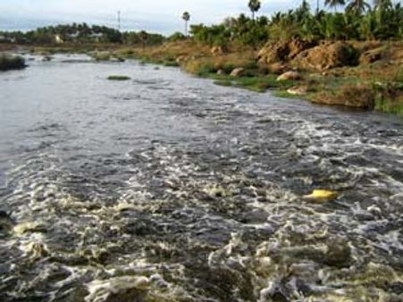 திருப்பூரில் வரலாறு காணாத மழை- நொய்யல் வெள்ளத்தில் சிக்கி இதுவரை 14 பேர் பலி