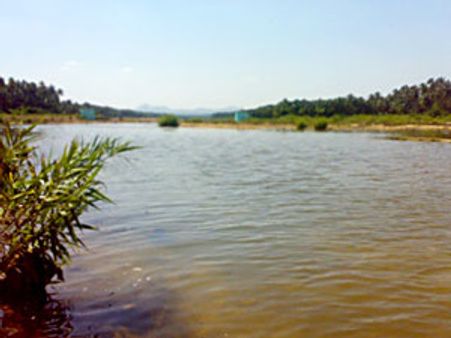 தமிழகத்தின் எதிர்ப்பையும் மீறி பாலாற்றின் குறுக்கே புதிய அணை ஆய்வுப் பணியை தொடங்கிய ஆந்திரா