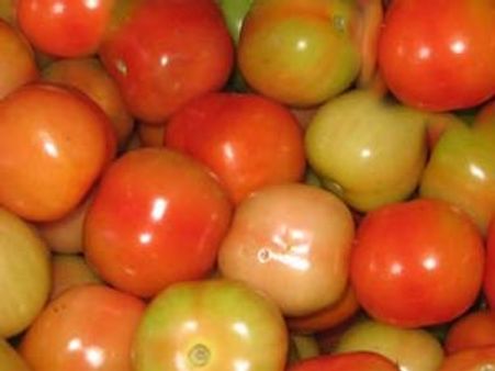 முல்லைப் பெரியாறு அணை பிரச்னையால் தக்காளி விலையில் சரிவு-ஒரு பெட்டி தக்காளி 60 ரூபாயானது