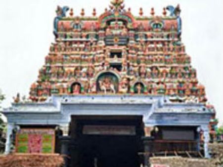 நெல்லையப்பர் கோயிலில் இன்று நெல்லுக்கு வேலியிட்ட திருவிளையாடல்!