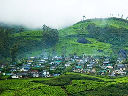 தமிழர் அதிகம் வாழும் தேவி குளம் இனி 'தேவி கொலம்'!