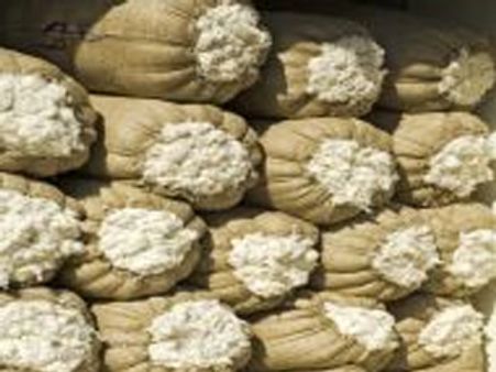 பருத்தி ஏற்றுமதிக்கு தடை- நரேந்திர மோடி கடும் எதிர்ப்பு