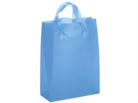 சங்கரன்கோவிலில் பிளாஸ்டிக் பைகளுக்கு தடை: மீறினால் ரூ.5,000 அபராதம்