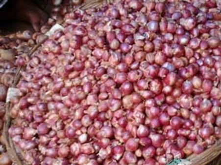 கண்ணீர் வடிக்க வைக்கும் வெங்காய விலை
