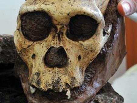 ஆதி மனிதனின் முழுமையான முதல் எலும்புக் கூடு கண்டுபிடிப்பு!