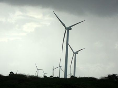 காற்றாலைகளும், காணாமல் போன குருவிகளும்!