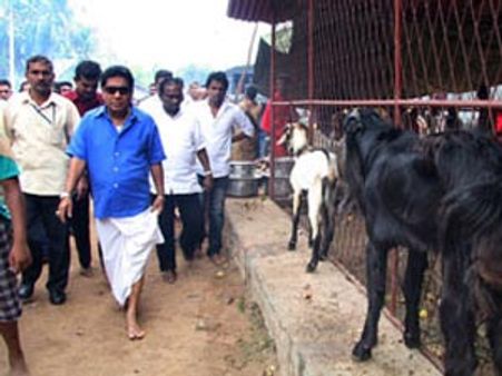இந்து ஆலயத்தில் ஆடு, கோழி பலியிடுவதை எதிர்த்து போராட்டம்: சிங்கள ரவுடி அமைச்சர் மேர்வின் சில்வா