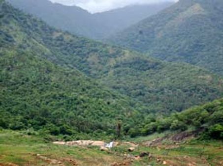 மேற்குத் தொடர்ச்சி மலைப்பகுதியில் துப்பாக்கி, ஆயுதங்களுடன் சிக்கிய 6 பேர்