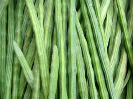 கூவி, கூவி விற்றாலும் வாங்க ஆளில்லை: குப்பையில் வீசப்பட்ட முருங்கைக்காய்கள்