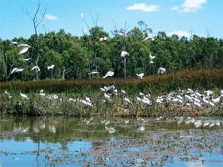 தர்மபுரியின் வேடந்தாங்கல் ராமக்காள் ஏரி