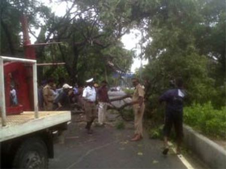 சென்னையில் கடல் சீற்றம், பல இடங்களில் கன மழை, பலத்த காற்றில் மரங்கள் முறிந்து விழுந்தன