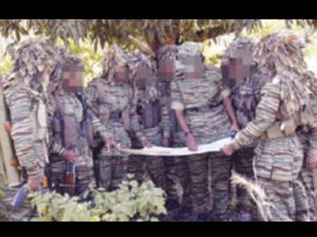 சர்ச்சையைக் கிளப்பியுள்ள ஒரு பெண் புலியின் வாக்குமூலம்!