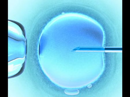 12 ஆண்டுகளுக்கு முன்பு பதப்படுத்தப்பட்ட கருமுட்டை மூலம் இரட்டைக் குழந்தைகள் பெற்ற பெண்