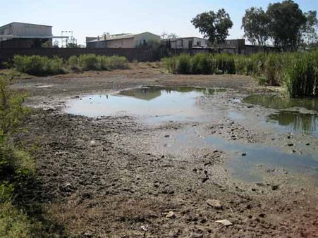 போபால் விஷவாயு விபத்து: 28 ஆண்டுகள் கழிந்தும் அகற்றப்படாத கழிவுகள்… விஷமாகும் நிலத்தடிநீர்