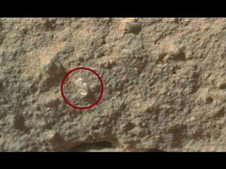 செவ்வாய் கிரத்தில் பாறையின் மேல் முத்து நிறத்தில் பூ பூத்ததா?