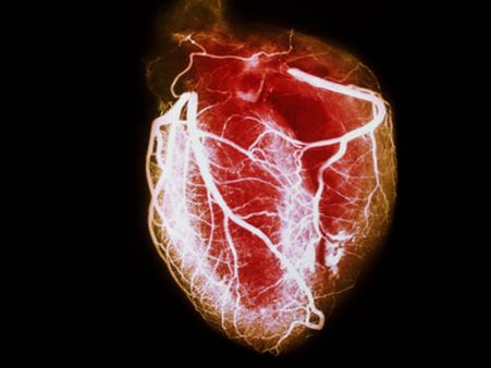 சென்னையில் தானம் பெறப்படும் உடல் உறுப்புக்கள் குப்பைக்கு போகும் அவலம்… அதிர்ச்சி ரிப்போர்ட்