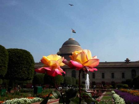 மொகல் தோட்டத்தில் பூத்துக்குலுங்கும் வண்ண மலர்கள்... பொதுமக்கள் பார்வைக்கு திறப்பு