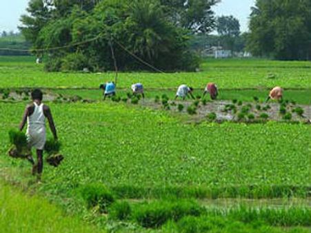 வேளாண் துறையில் தமிழகத்துக்கு முதலிட விருது!