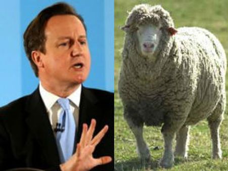 ஆட்டுக்குட்டிக்காக சேற்றில் குதித்த இங்கிலாந்து பிரதமர் ஜேம்ஸ் கேமரூன்