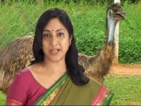 ஈமு கோழி மோசடி: சுசி நிறுவன சொத்துக்கள்- வாகனங்கள் பறிமுதல்