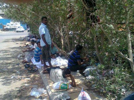 சவுதியில் விரட்டப்பட்ட 300 ஈழத் தமிழர்கள்... சாலை ஓரமாக வாழும் அவலம்