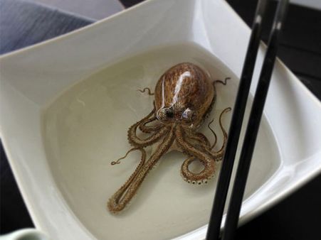 கண்ணை நம்பாதே... உன்னை ஏமாற்றும்!