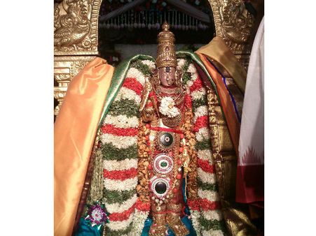 விமரிசையாக நடந்த மதுரை மீனாட்சி- சொக்கநாதர் திருக்கல்யாணம்