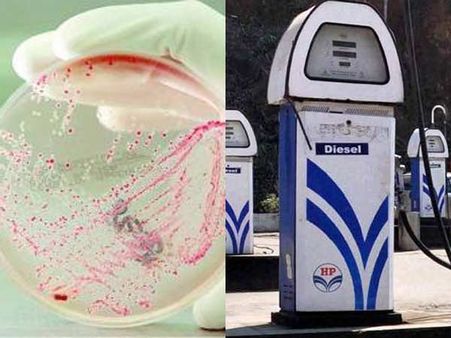 ஈ கோலி பாக்டீரியாவில் இருந்து டீசல் - இங்கிலாந்தின் லேட்டஸ்ட் கண்டுபிடிப்பு